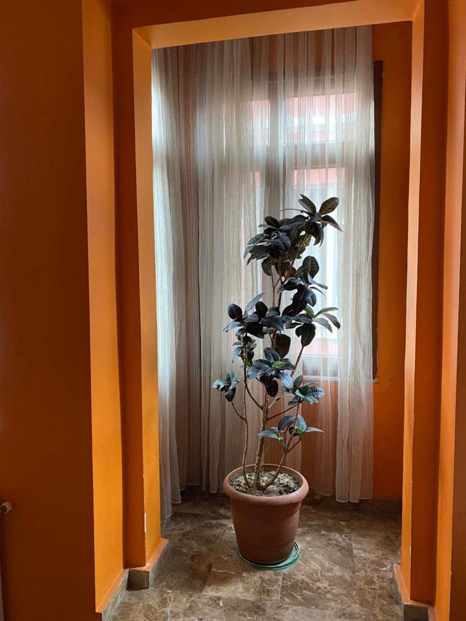 Taksim Pandora Hotel İstanbul Dış mekan fotoğraf